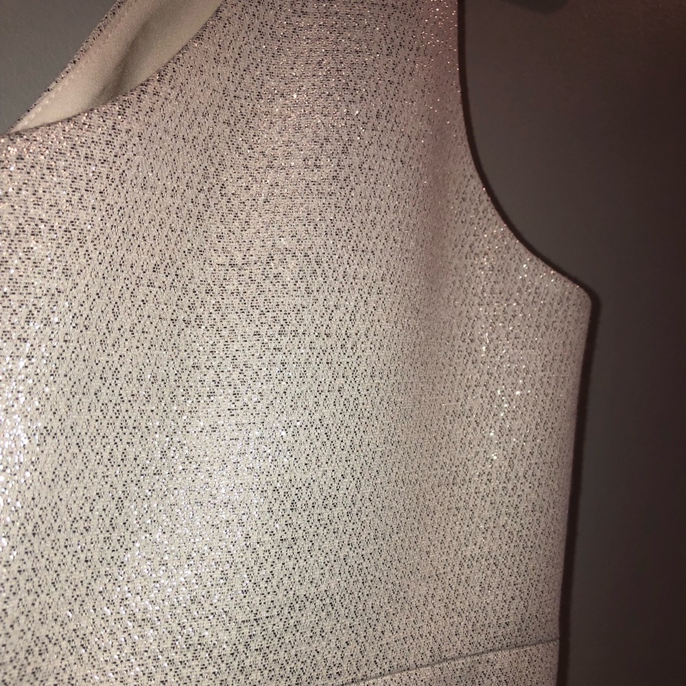 🏠 Moving Sale 📦 EUC Metallic Dress - Picture 4 of 6